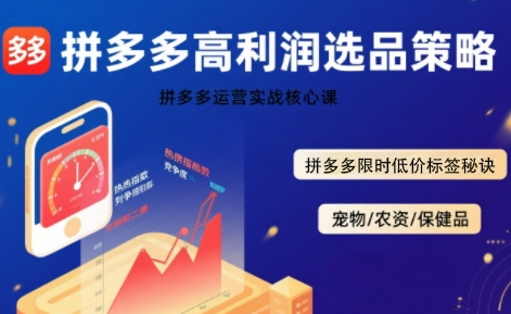 拼多多选品暴利技术实战课，拼多多高利润选品策略，拼多多限时低价标签秘诀|学课链网创