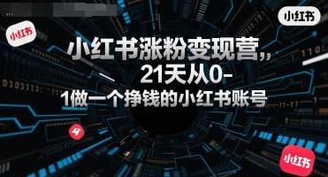 小红书涨粉变现营，21天从0-1做一个挣钱的小红书账号|学课链网创