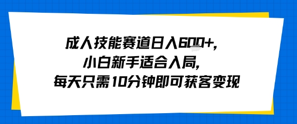 成人技能赛道日入多张，小白新手适合入局，每天只需10分钟即可获客变现|学课链网创