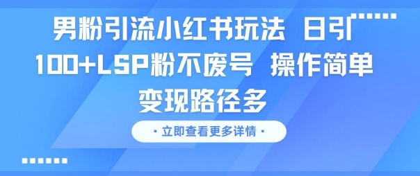 男粉引流小红书玩法，日引100+LSP粉不废号，操作简单，变现路径多|学课链网创
