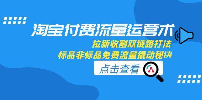 （15135期）淘宝付费流量运营术，拉新收割双链路打法，标品非标品免费流量撬动秘诀|学课链网创