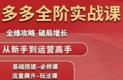 拼多多全阶实战课程，全维攻略，破局增长，从新手到运营高手|学课链网创