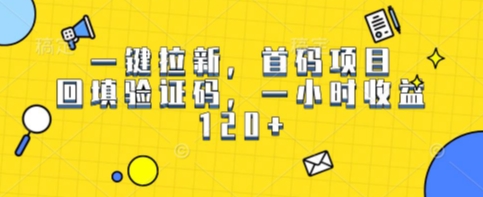 一键拉新，首码项目，回填验证码，一小时收益1张|学课链网创