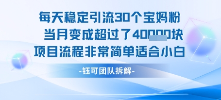 每天稳定引流30个人 当月变成超过了4个W项目流程非常简单适合小白|学课链网创