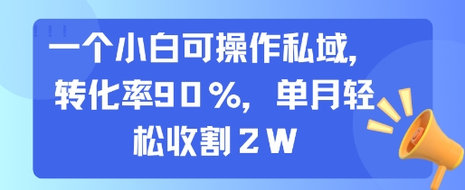 一个小白可操作私域，转化率90%，单月轻松收割2W|学课链网创