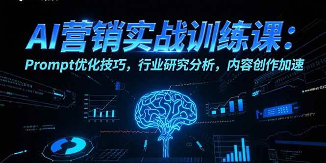 （15465期）AI营销实战训练课：Prompt优化技巧，行业研究分析，内容创作加速|学课链网创