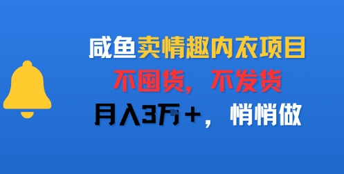 咸鱼卖情趣内衣项目，不囤货，不发货，月入3W+，悄悄做|学课链网创
