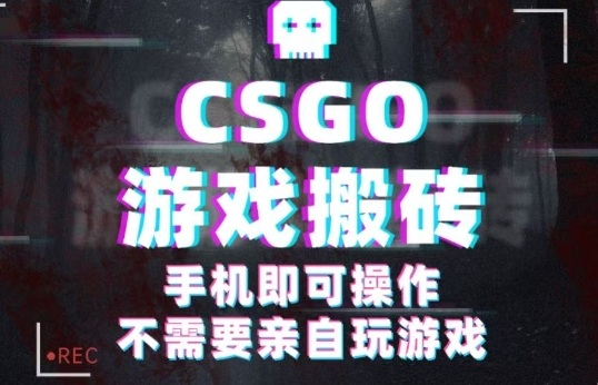 CSGO游戏挂G捡漏，单日扫货5张+，年底小高峰上车可吃肉，手机即可操作，兼职副业创业网创【揭秘】|学课链网创