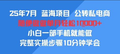 25年7月蓝海项目，公转私电商，随便做做单月轻松1w，小白一部手机就能做，完整实操步骤10分钟学会|学课链网创