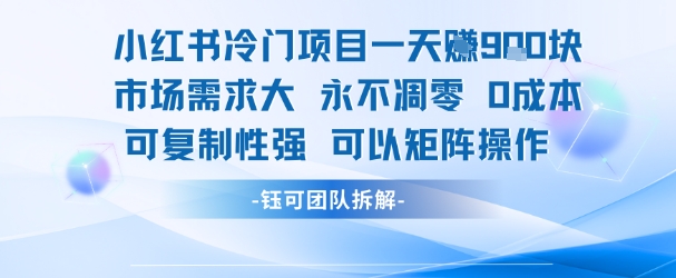 小红书冷门项目一天收益9张，市场需求大，0成本，可复制性强可以矩阵操作|学课链网创