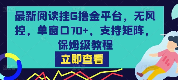 最新阅读挂G撸金平台，无风控，单窗口70+，支持矩阵，保姆级教程【揭秘】|学课链网创