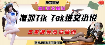 海外tiktok小说推文暴力项目，高停留率，高转化率，上手后一天搞顿饭钱不是问题|学课链网创