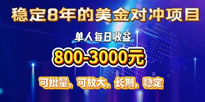 （15782期）稳定8年的美金对冲创业项目，单人每日收益800-3000，小众暴力项目|学课链网创