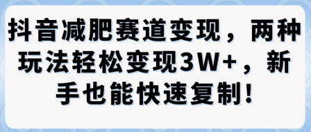 抖音减肥赛道变现，两种玩法轻松变现3W+，新手也能快速复制|学课链网创