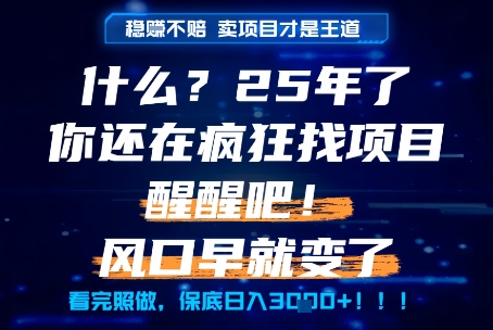 什么？25年你还在疯狂找项目做，醒醒吧，看完这些你全都懂了！【揭秘】|学课链网创