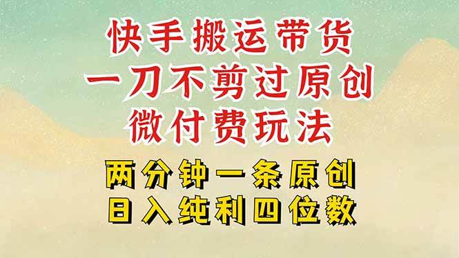 （15577期）快手黑科技搬运带货，一刀不剪过原创，微付费投流玩法，轻松日入四位数…|学课链网创