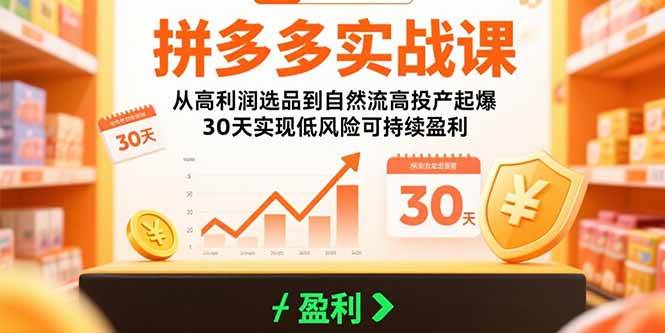（15586期）拼多多实战课：从高利润选品到自然流高投产起爆 30天实现低风险可持续盈利|学课链网创