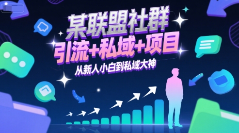 某联盟社群，引流+私域+项目，从新人小白到私域大神|学课链网创