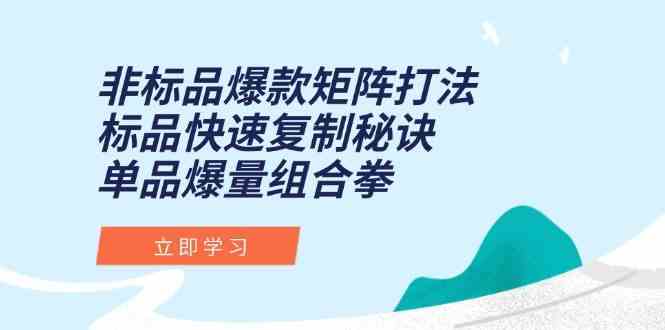 非标品爆款矩阵打法，标品快速复制秘诀，单品爆量组合拳|学课链网创