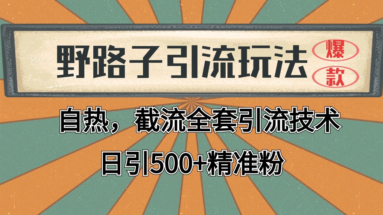 2024首发野路子引流玩法截流自热全平台打法，全自动引流【日引2000+精准客户】|学课链网创