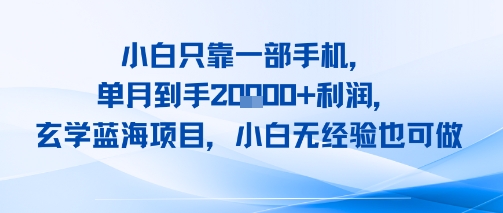 小白只靠一部手机，单月到手2W+利润，玄学蓝海项目，小白无经验也可做|学课链网创