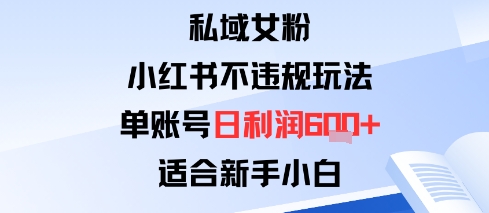 私域女粉：小红书平台不违规玩法单账号日利润6张+适合新手小白|学课链网创