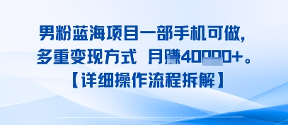 8月新男粉蓝海项目一部手机可做，多重变现方式 月入4W+【详细操作流程拆解】|学课链网创