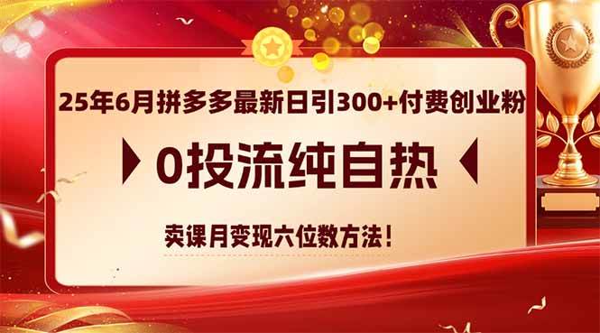 （14989期）25年6月拼多多最新日引300+付费创业粉，0投流纯自热 卖课月变现六位数方法|学课链网创