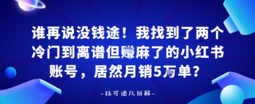谁再说没钱途!我找到了两个冷门到离谱但賺麻了的小红书账号,居然月销5W单?