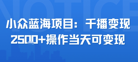 小众蓝海项目，千播变现2.5k+操作当天可变现|学课链网创