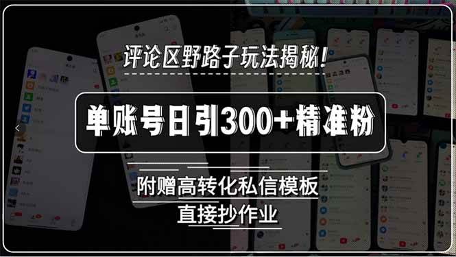 （15466期）评论区野路子玩法揭秘！单账号日引300+精准粉，附赠高转化私信模板，直…|学课链网创