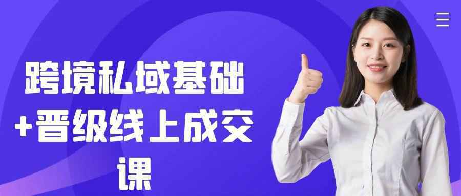 跨境私域基础+晋级线上成交课|学课链网创