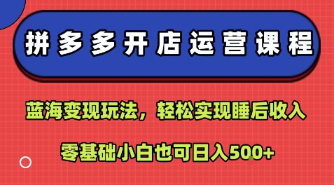 拼多多开店运营课程：蓝海变现玩法，轻松实现睡后收入，零基础小白也可日入5张|学课链网创