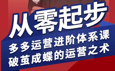 拼多多运营进阶系统课,从零起步,多多运营进阶体系课,破茧成蝶的运营之术|学课链网创