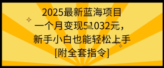 2025最新蓝海项目一个月变现1w+新手小白也能轻松上手【附全套指令】|学课链网创