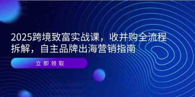 2025跨境致富实战课，收并购全流程拆解，自主品牌出海营销指南|学课链网创