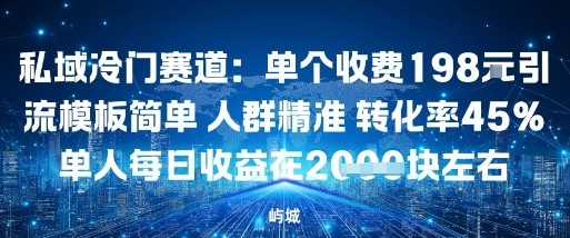 私域冷门赛道：单个收费198米引流模板简单人群精准转化率45%单人每日收益在1k+|学课链网创
