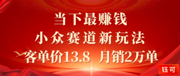 当下最挣钱的小众赛道 小红书新玩法10个作品涨粉3W，客单价13.8 月销2W单|学课链网创