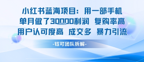 小红书蓝海项目，一部手机单月做了3W利润，小白也能月入过1W用户认可度高成交多|学课链网创