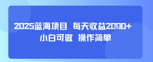 2025蓝海项目 每天收益多张 小白可做 操作简单