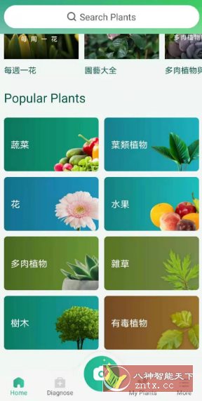 PictureThis 植物识别v5.6.0专业版|学课链网创