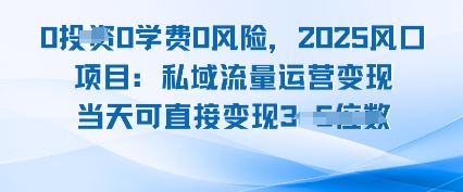 0学费0风险，2025风口项目：私域流量运营变现，当天可直接变现|学课链网创