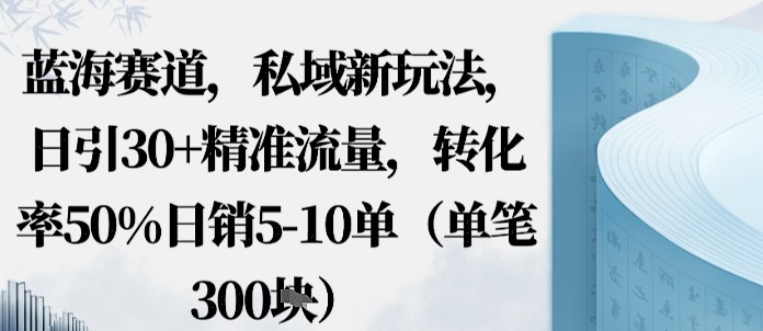 蓝海赛道，私域新玩法，日引30+精准流量，转化率50%日销5-10单（单笔3张）|学课链网创