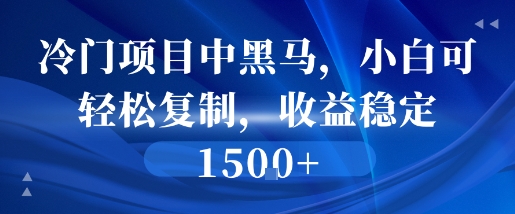 冷门项目中黑马，小白可轻松复制，收益稳定1.5k|学课链网创