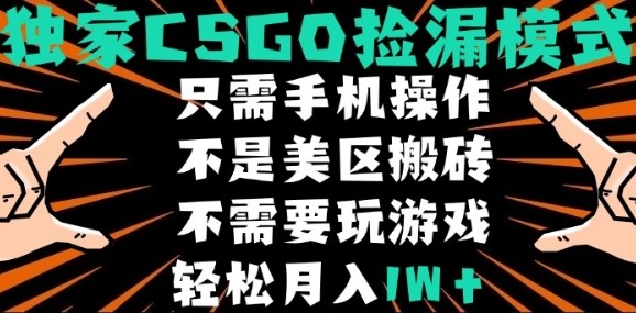 CSGO自动捡漏项目，最新独家玩法，不是美区搬砖，不需要了解和玩游戏，新手小白轻松月入1W+【揭秘】|学课链网创