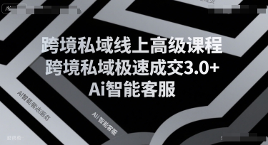 跨境私域线上高级课程，跨境私域极速成交3.0+Ai智能客服|学课链网创