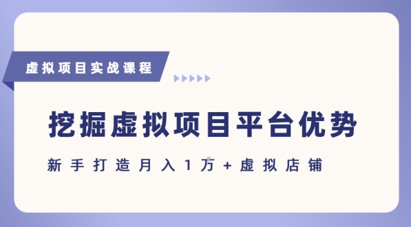 抓住虚拟项目各平台优势，新手轻松月入1W+(给出具体建议)|学课链网创