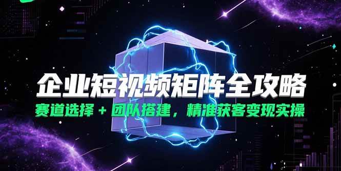 （15242期）企业短视频矩阵全攻略，赛道选择+团队搭建，精准获客变现实操|学课链网创