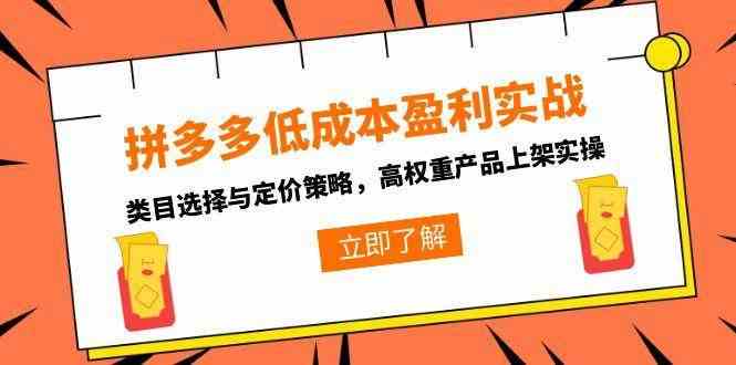 拼多多低成本盈利实战，类目选择与定价策略，高权重产品上架实操|学课链网创
