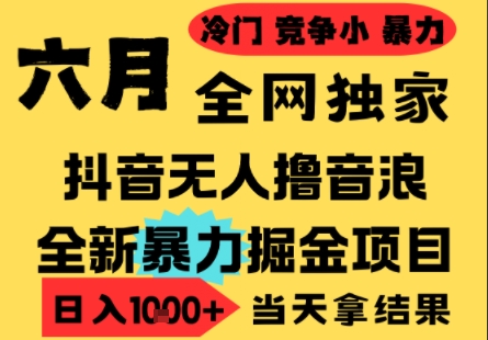 25年6月高爆抖音无人直播最新撸音浪掘金项目，小白可做，无脑日入1k+，门槛低可批量矩阵【揭秘】|学课链网创